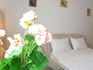 Апарт-отели Platinum Rooms ApartHotel Бухарест Апартаменты-студио-28
