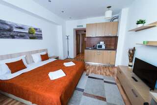 Апарт-отели Platinum Rooms ApartHotel Бухарест Апартаменты-студио-4