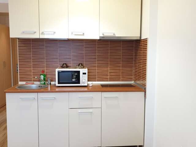 Апарт-отели Platinum Rooms ApartHotel Бухарест-18